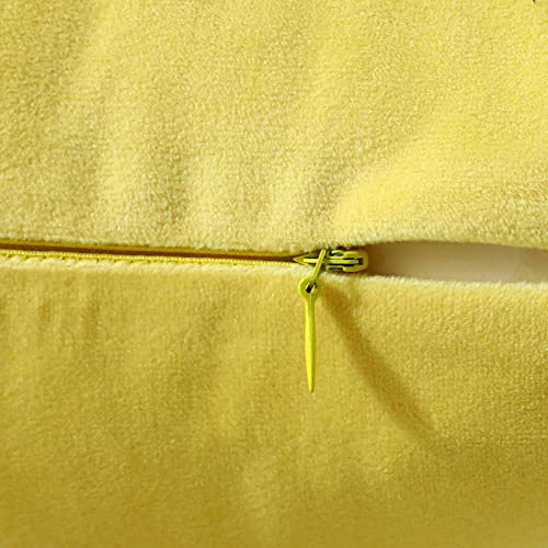 Jeneoo Set Of 2 Comfy Soft Velvet Lumbar Throw Pillow Cases For Sofa Couch, Decorative Solid Rectangle Cushion Covers For Bedroom Car (12 X 20 Inches, Lemon Yellow) #TOP1