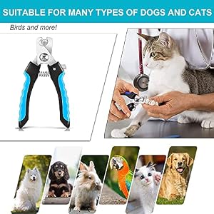 Dog and Cat Nail Clipper, Claw Cutter with Nail File, Professional and Safe Dog Nail Chisel, for Dogs, Cats, Birds and Any Size of Claws