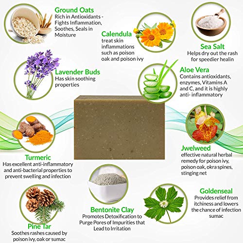 Natrulo Poison Ivy Soap Bar - All Natural Poison Ivy Treatment - Anti-Itch Skin Cleanser Bar For Poison Ivy, Poison Oak & Sumac - Removes Oils, Soothes & Relieves Rashes - 4 Oz Bar Made In Usa #TOP4