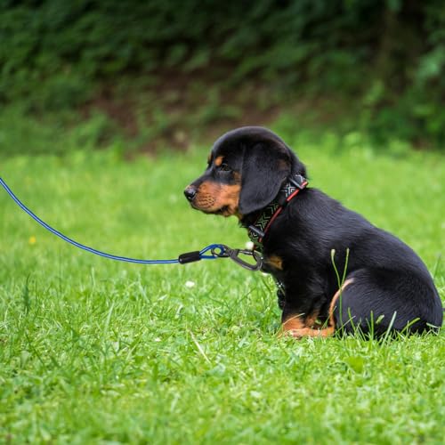 INOOMP Cabo De Amarração Para Cães: Trela De Cachorro Para Quintal - Trela De Corrente Resistente Ex