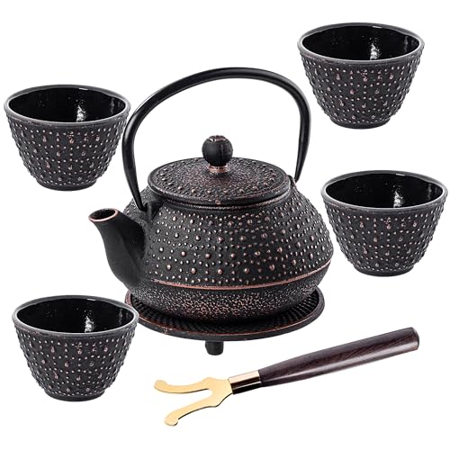 KADAX Théière Japonaise en Fonte de 850ml avec...