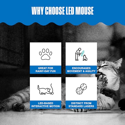 Image of Penn-Plax LED Mouse Projection Toy for Cats - Interactive Cat Toy with Moving Mouse LED Projection for Indoor Chase Play, Exercise, Activity, Mental Stimulation & Everyday Fun - 0.5 x 4.5 x 4 Inches