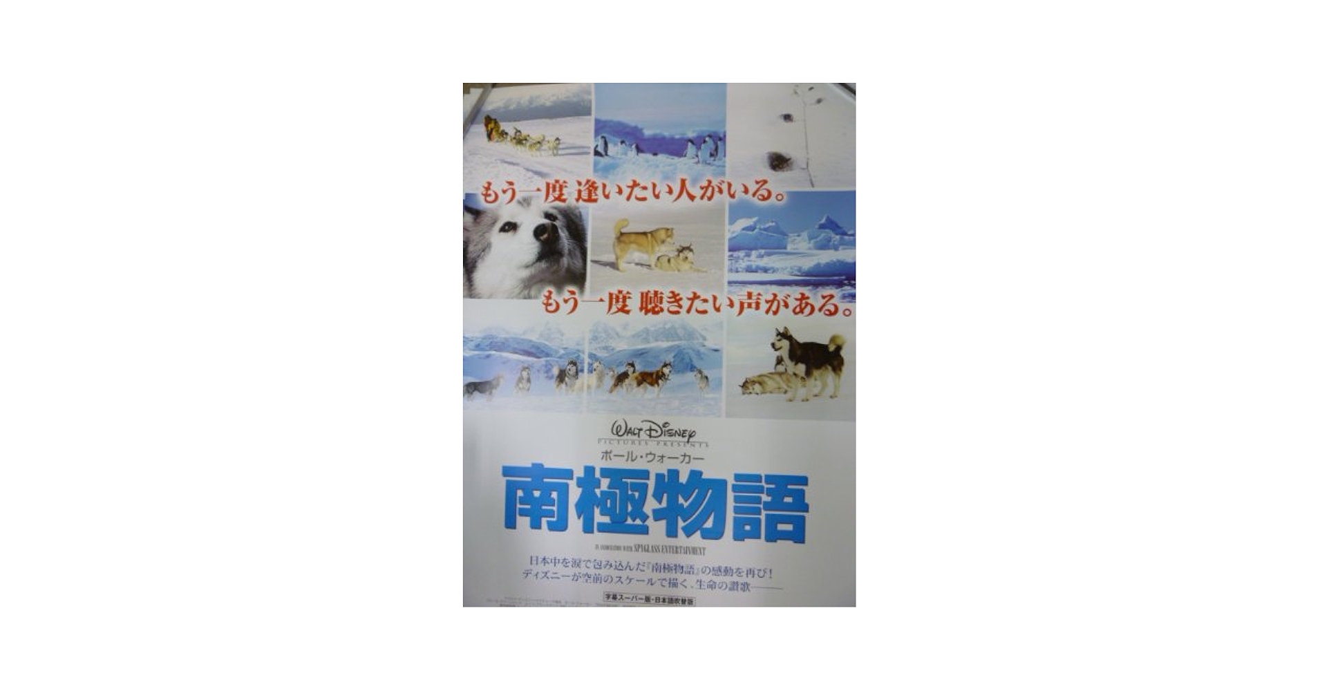 映画 「南極物語」ポスター 3枚 映画 「南極物語」ポスター 3枚 - メルカリ