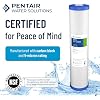 Pentair Pentek EP-20BB Big Blue Carbon Water Filter, 20-Inch, Whole House Carbon Block Replacement Cartridge with Bonded Powdered Activated Carbon (PAC) Filter, 20 x 4.5, 5