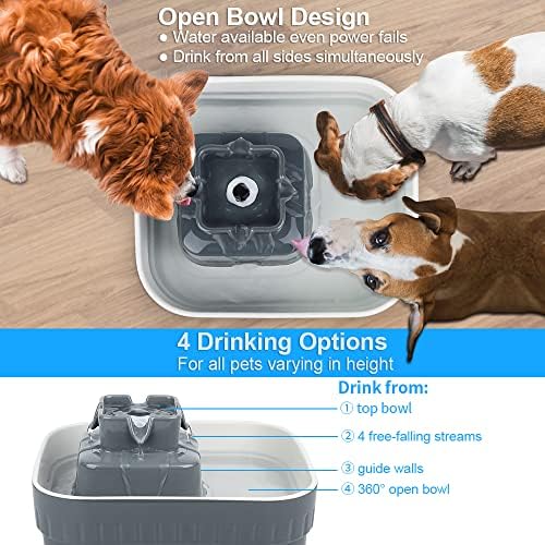 Is Cold Water Good For Dogs To Drink