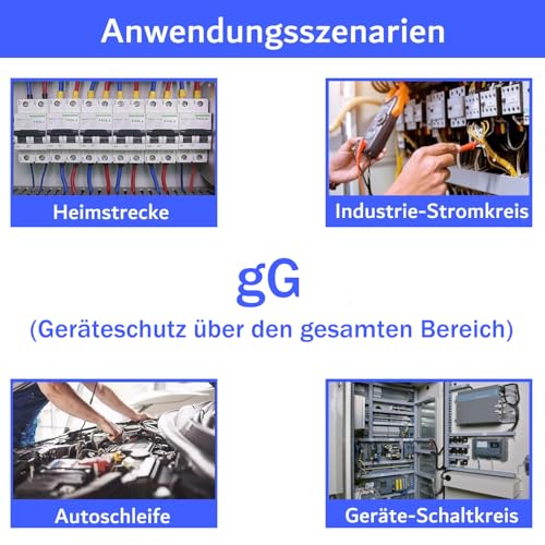 SUCANY Keramische Neozed-Sicherungseinsätze,D02 25A gL/gG 400VAC D0-Typ Sicherungseinsatz,für Kabel und Leitungsschutz (10 Stück).