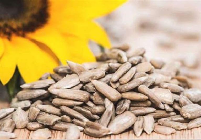 Image of DRY AMRIT Raw Sunflower Seeds 1 kg | Rich in Protein, Fiber, Vitamins and Antioxidants | Organic Sunflower Seeds for Eating | Surajmukhi Beej | Jar Pack