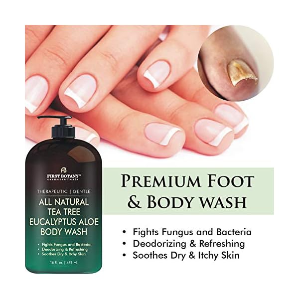 ALL-Natural-Tea-Tree-Body-Wash-Fights-Body-Odor-Athletes-Foot-Jock-Itch-Nail-Issues-Dandruff-Acne-Eczema-Yeast-Infection-Shower-Gel-for-Women-Men-Eucalyptus-Aloe-Skin-Cleanser-16-fl-oz ALL Natural Body Wash - Fights Body Odor, Athlete’s Foot, Jock Itch, Nail Issues, Dandruff, Acne, Eczema, Shower Gel for Women & Men, Skin Cleanser -16 fl oz (Tea Tree Eucalyptus)