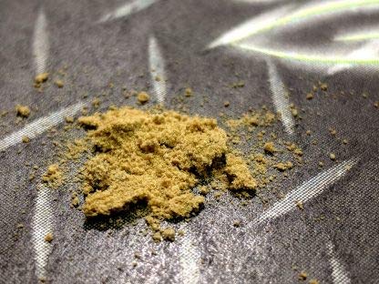 Amino Acid Organic Fertilizer Water Soluble Natural Nitrogen Organic Acids (1 Pound)