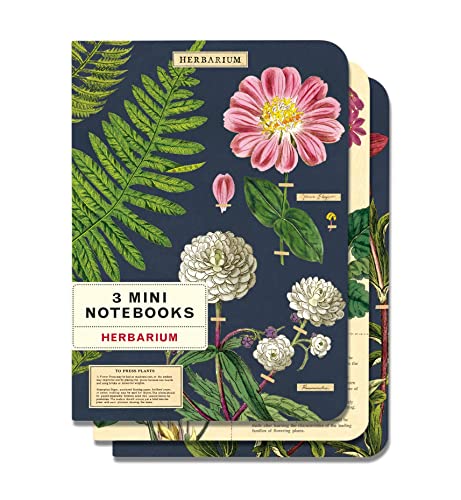 Mini Bloc-Notes Cavallini Herbier assortiment de 3 carnets premium aux finitions d'archives - 2