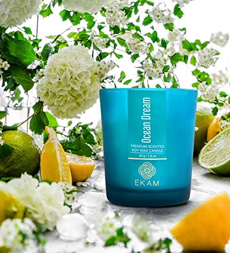 Image of EKAM Ocean Dream Votive Soy Wax Scented Candle, 40 Grams, 10 Hours Burn Time| Long Lasting Premium Candles | Ideal for Home Decor | Gifting & Aromatherapy (Pack of 6)