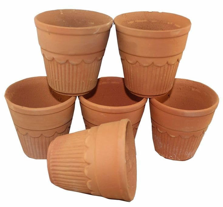 Handmade Terracotta Cups - Set of 6 -1