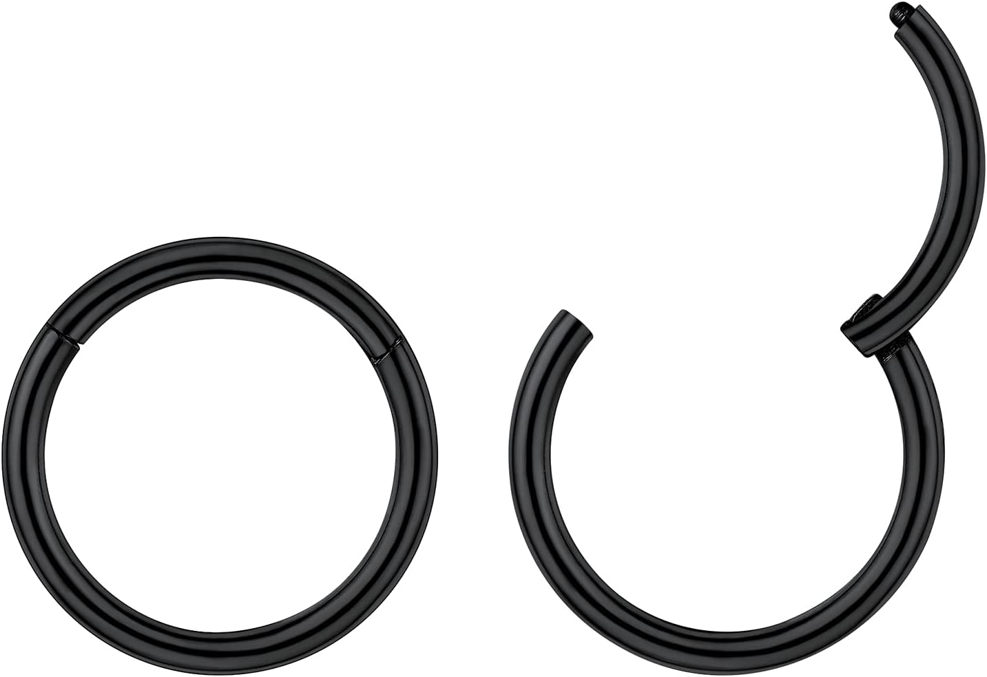 Hypoallergenic Nose Rings 20G 18G, 316L Surgical Steel Piercing Jewelry Hinged Segment Ring Body Piercing Nose Hoop Lip Rings Nose Helix Cartilage Rook Earrings