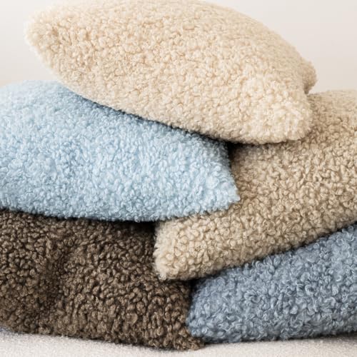 Image of Foindtower Set of 2 Curly Teddy Wool Pillow Covers Decorative Boucle Textured Lumbar Throw Pillow Faux Fur Sherpa Pillowcases Sheepskin Fuzzy Cushion Case for Sofa Bedroom Car 12 inchx20 inch Sky Blue