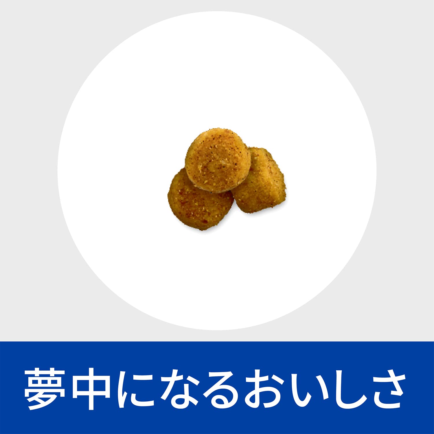 ヒルズ プリスクリプションダイエット キャットフード y/d ワイディー