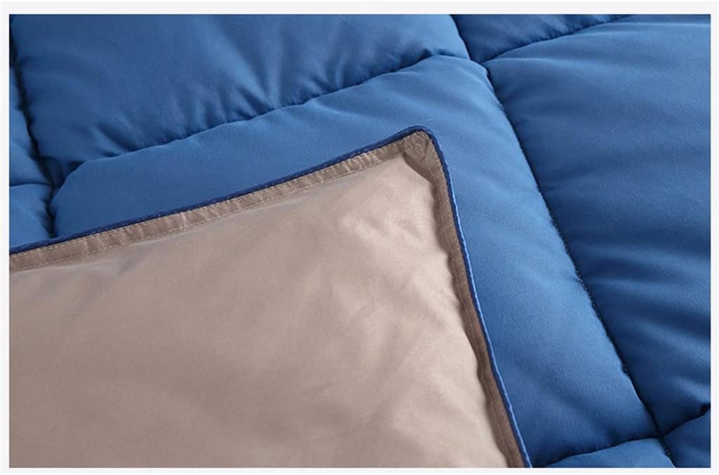 White Goose/Duck Down Comforter Winter Quilt Blanket Filler with Cotton Cover Twin Full Queen King Size (Color: D, Size: 86.6 x 94.5 inches (220 x 240 cm), 6.6 lbs (3 kg), D 78.7 x 90.6 inches (200 x