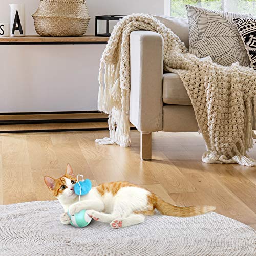 Interactive Cat Toys Ball with Colorful Light & Bird Sound - USB Charging Automatic Irregular 360 Degree Self Rotating Ball - 5 Replacement Feathers Robotic Cat Toy for Indoor Cats Kitten (Green)