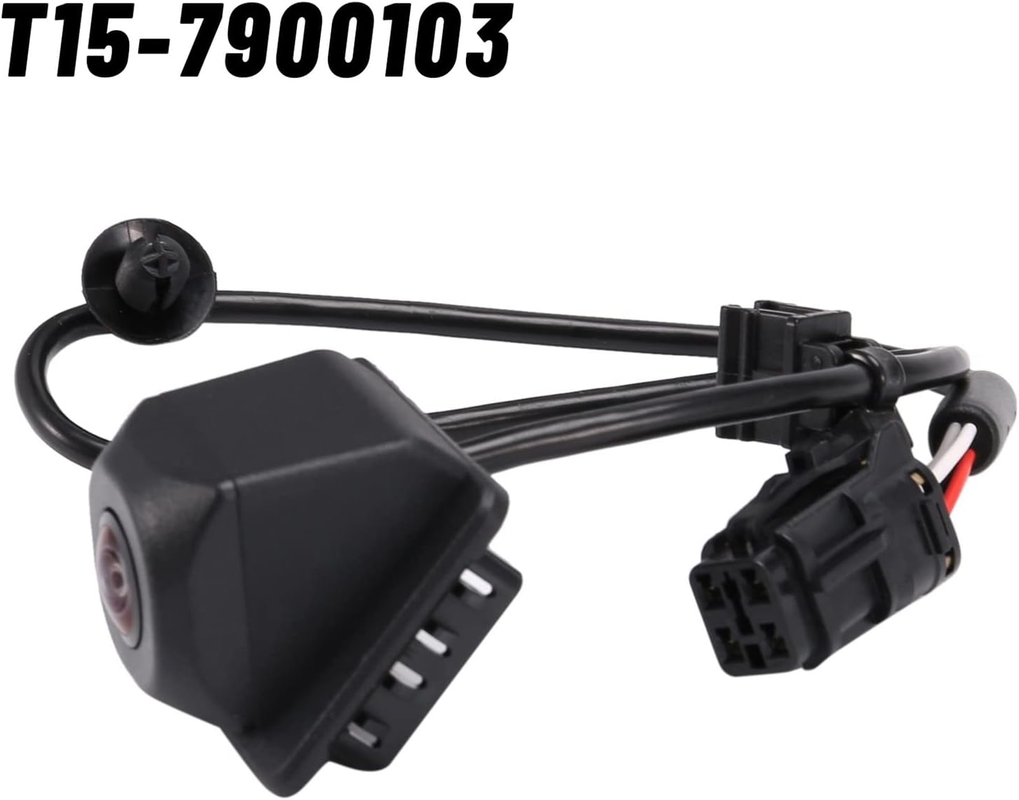 碧い月様専用 月兎-Tsukito-︎︎さま専用（原画）青い月の秘密【SM