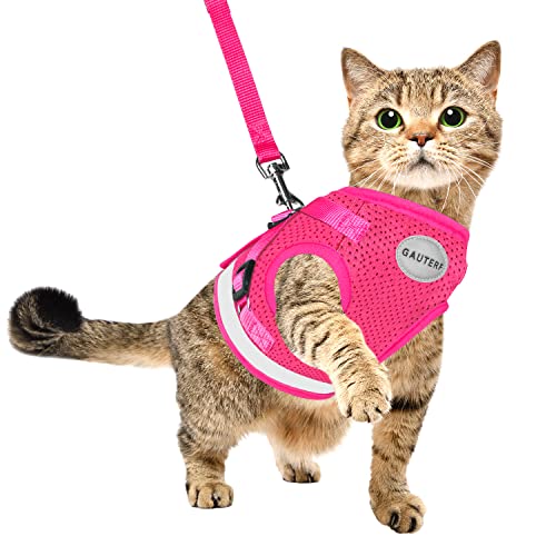 Cat Harnesses And Puppy Harness With Leashes Set, Escape Proof Cat Harness, Adjustable Reflective Soft Mesh Vest Fit Puppy Kitten Rabbit Ferrets's Outdoor Harness (Rose Red, M, Chest: 12" - 14") #TOP1