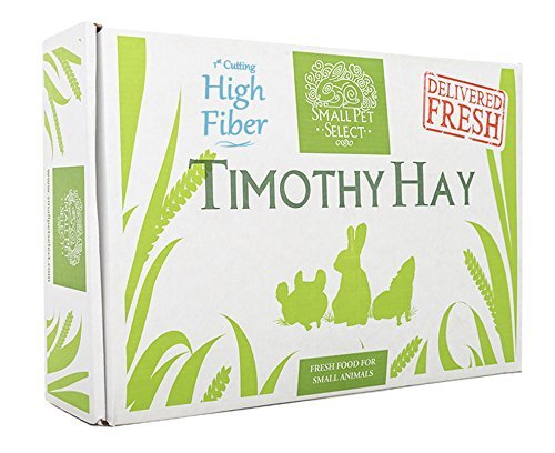 Small Pet Select 1St Cutting High Fiber Timothy Hay Pet Food, 20 Lb.