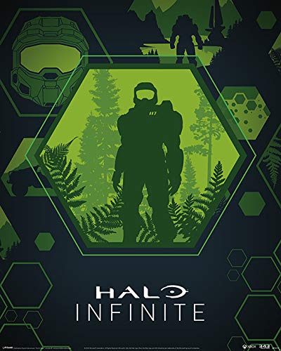 AFFICHE / Halo Infinite - Master Chief Hex - 40x50cm