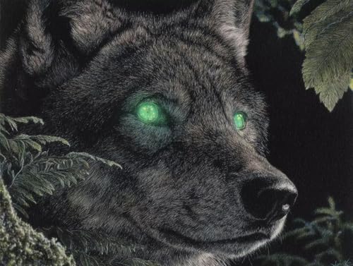 DIY  Lbg l q SҌ G EtO[ ANG̋Zbgt 20x30cm hG XgX  v[g Mtg - |pIȑ̌ŊyށAiȃLoXƑN₩ȐFʁAW̓AbvAbNXʁA