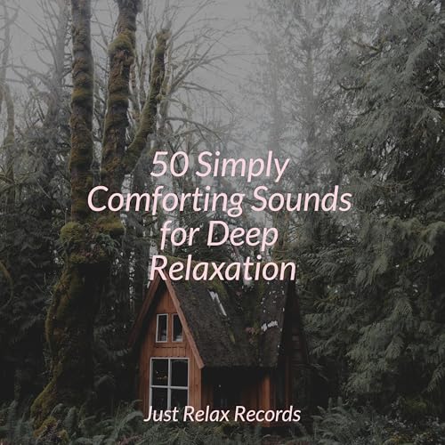50 Simply Comforting Sounds for Deep Relaxation von Música ambiental ...
