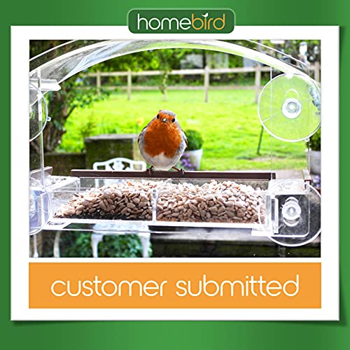 Window-Bird-Feeders-with-Strong-Suction-Cups-Home-Bird-Suction-Cup-Bird-Feeder-Window-Clear-Bird-Feeders-for-Window-Bird-Feeder-House-Wild-Life-Lovers