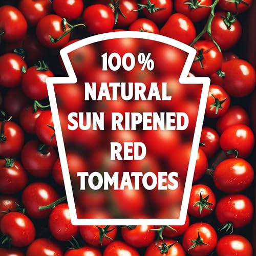 Image of Heinz Tomato Ketchup, 450gram (Pack of 2)