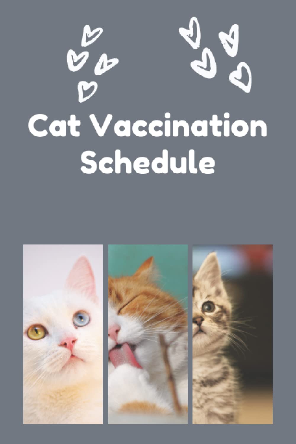 Cat Vaccination Schedule: Brilliant Cat Vaccination Schedule book, useful Vaccination Reminder, Vaccination Booklet.
