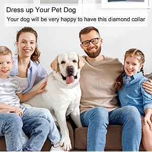 Metal Cuban Diamond Dog Chain Dog Training Chain with Secure Buckle Pet Collars for Large Medium Dogs Metal Cuban Diamond Dog Chain Dog Training Chain with Secure Buckle Pet Collars for Large Medium Dogs