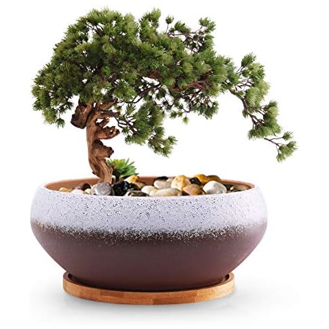 EPFamily 8 Inch Ceramic Round Succulent Planter with Drainage Hole and Bamboo Tray, Modern Large Flower Pot for Herb Garden Bonsai Planting Cover