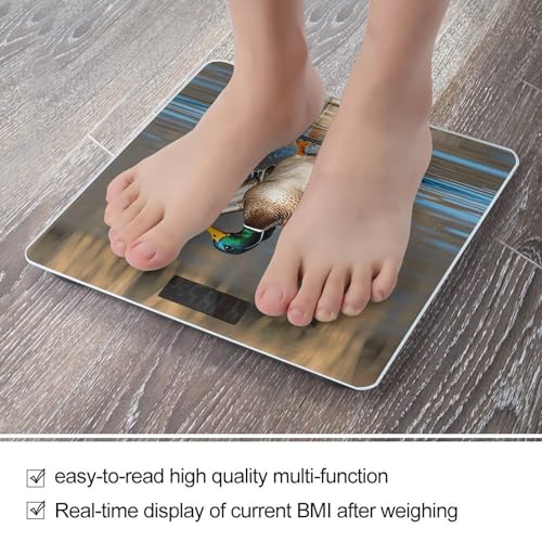 Báscula digital de baño con vidrio templado y pantalla LCD miniatura 5