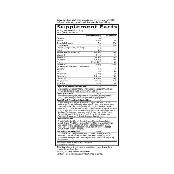 Garden-of-Life-Raw-Organic-Perfect-Food-Energizer-Juiced-Green-Superfood-Powder-Yerba-Mate-Pomegranate-Probiotics-Gluten-Free-Whole-Food-Greens-Supplements-30-Servings-973-Oz Garden of Life Raw Organic Perfect Food Energizer Juiced Green Superfood Powder - Yerba Mate Pomegranate, 30 Servings, Green Superfood Powder & Probiotics, Gluten Free Whole Food Greens Supplements