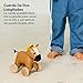 Imagen de Animales para pasear con Correa de Little Big Friends