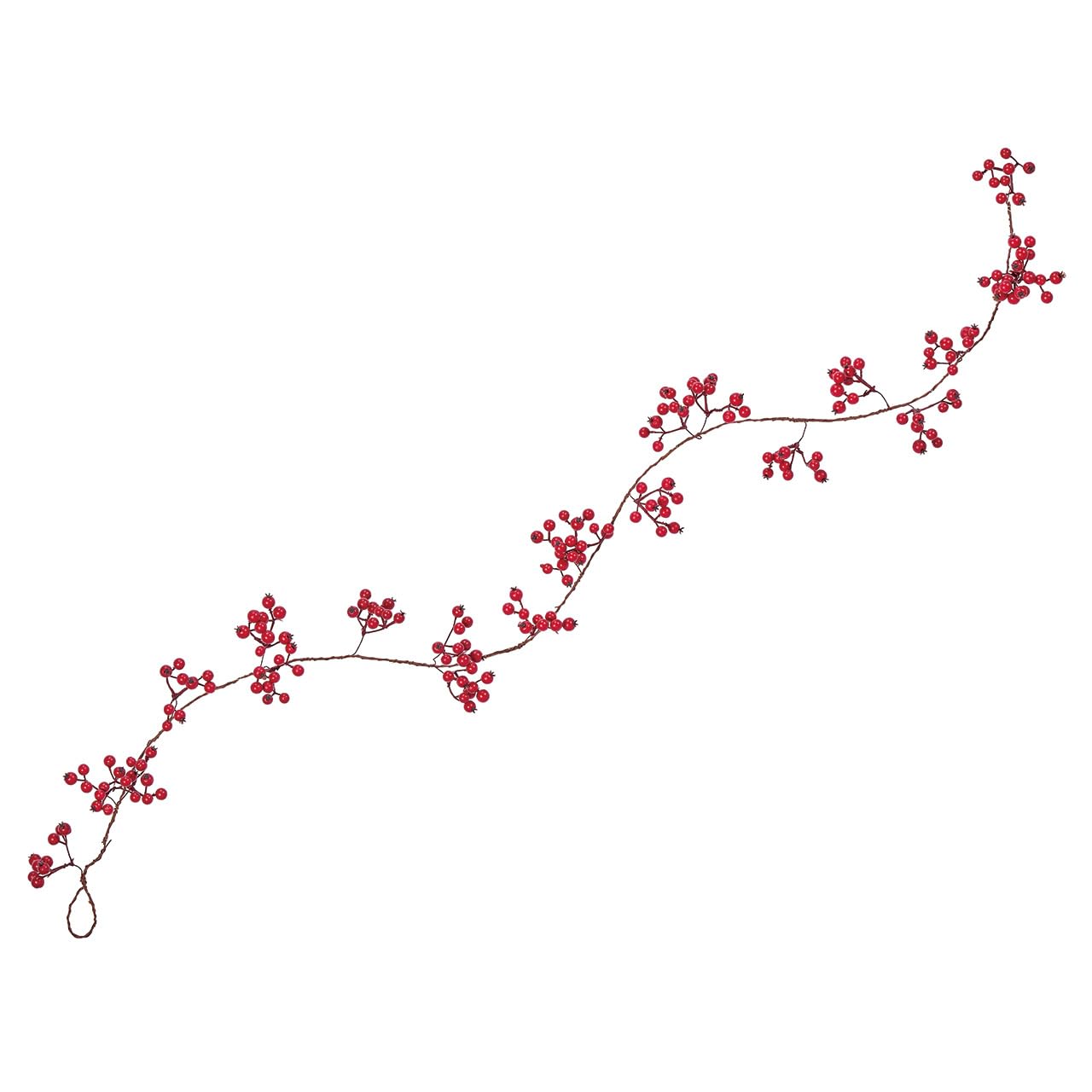 ［ふみちゃん］サンキライ赤 Amazon｜東京堂(Tokyodo) サンキライバイン レッド 実Ф0.6～0.8×L120cm