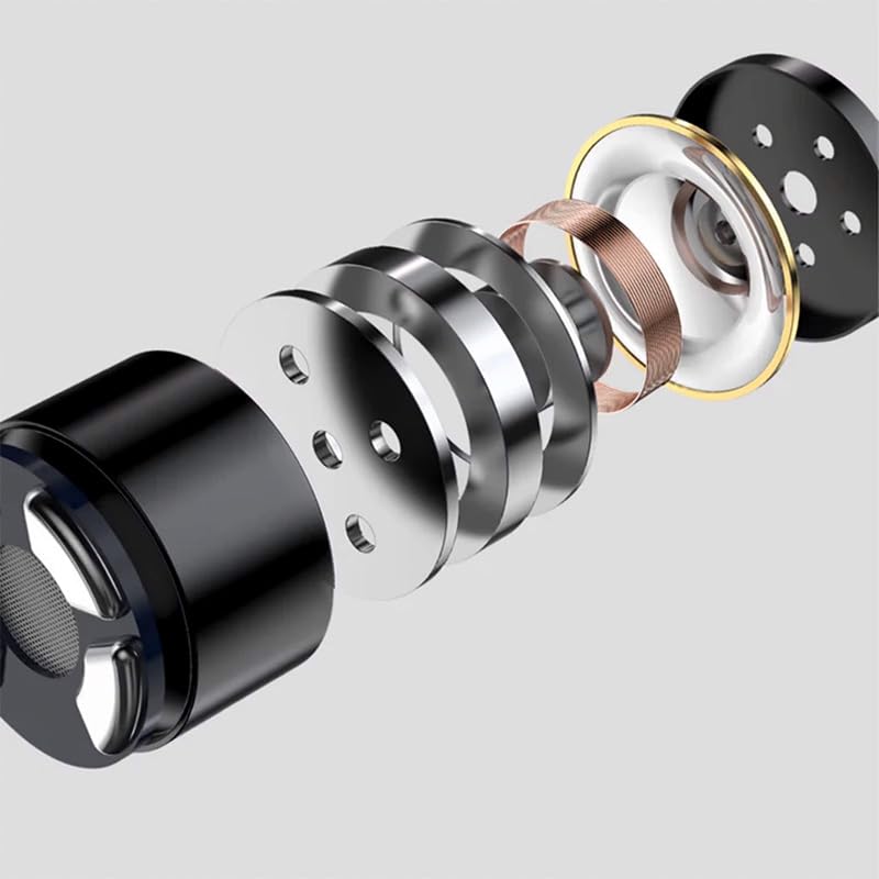 Image of LEAUDIO TWISTURA D-Minor Dynamic HiFi Earphones with Interchangeable Cable (Without mic)