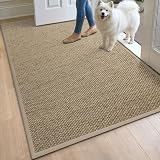 DEXI Fußmatte Innen 120 x 180 cm, rutschfest Schmutzfangmatte mit Gummirücken, absorbierend Fussmatte Innenbereich, Dünn Türmatte, waschbar Sauberlaufmatte für Haustür & Flur, Beige