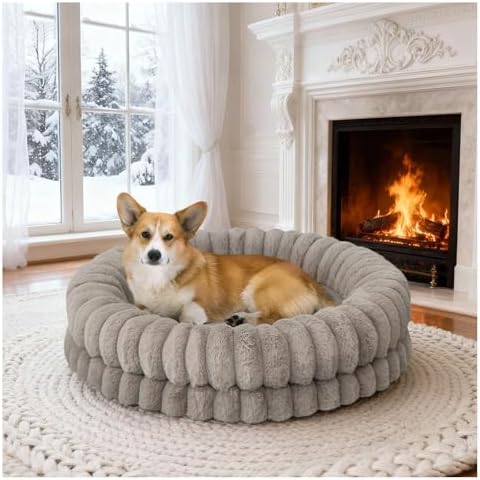 BALANCE Luxury Donut Dog Bed — shown in a real home setting for scale
