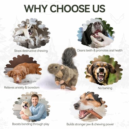 ALL FOR PAWS Classic Squirrel Pet Toys, Small - Image 5