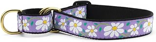 Martingale Collar | Daisy