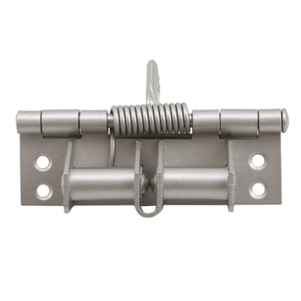 Buy Tangzhan Spring Hinge, Door Closing Hinge, Heavy Duty Soft Close