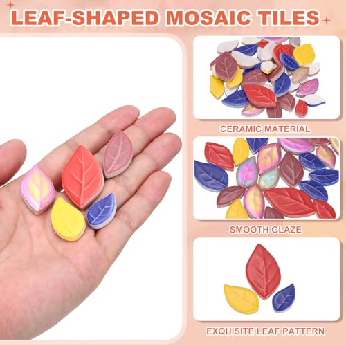 Pièces de mosaïque en céramique multicolores de tailles multiples 200g