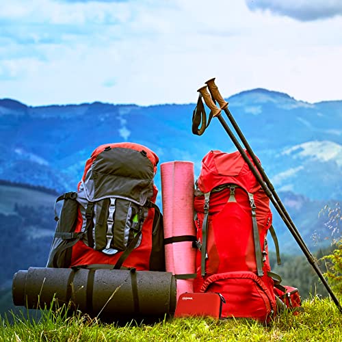 Zoonimal Snake Bite Kit For Humans, Bee Sting Kit, Rattlesnake Antivenom Extractor Sucker, Bug Bite And Wasp Sting, Poison Remover, Insect Bite Relief First Aid Kit For Hiking, Backpacking And Camping #TOP6