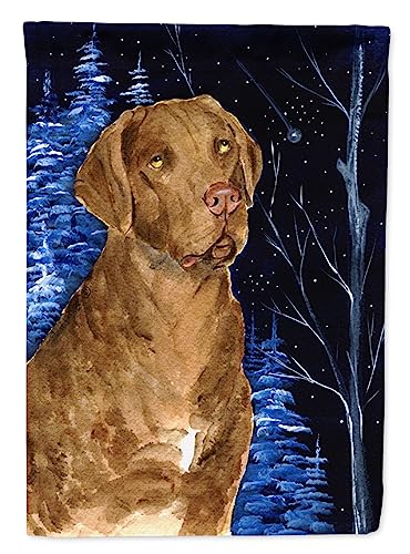 Chesapeake Bay Retriever drapeau jardin starry night petit format - 2