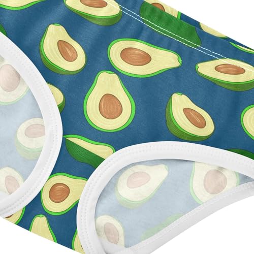 Fruit Avocado Blue Toddler Girls's Underwear 2T 23022194