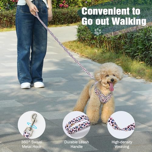 Pawaboo Hundegeschirr mit Hundeleine Set, X-Rahmen Verstellbares Anti Zug Anti-Erstickung Hund Brustgeschirr für Kleine, Mittelgroße Hunde & Welpen, Hundeweste mit Leine, XS, Rosa Leopard