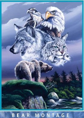 Bear Montage Mink Plush Blanket Queen Size - Signature Collection