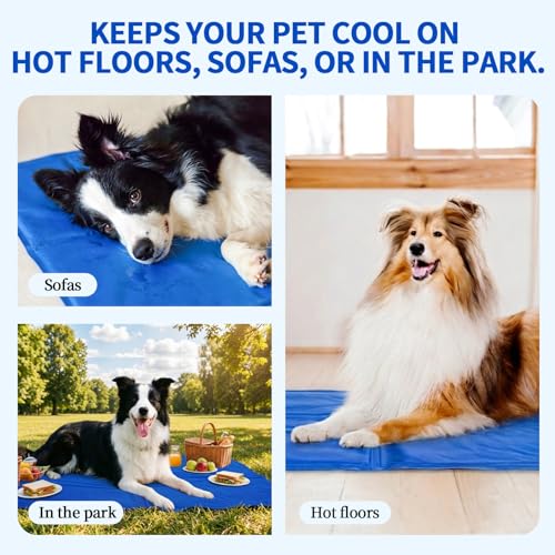 Tapis de refroidissement pour chien contre les coups de chaleur estivaux