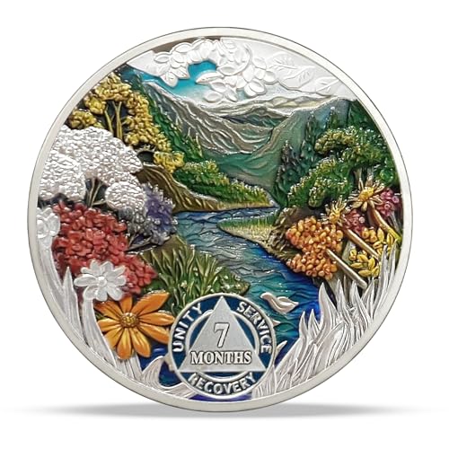 Image of Imasoner 7 Month Sobriety Coin, Summer Seasons AA Recovery Chip Medallion | Daily Sober Reminder Token with Inspirational Quote, Clean Time Milestone Gift for Alcoholics Anonymous Members Men & Women